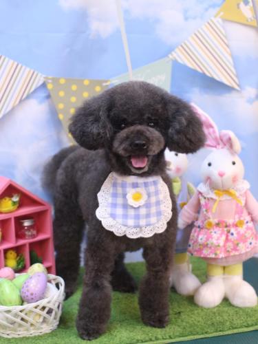 20240301ボーロくん